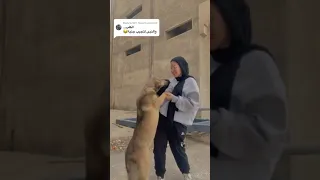 والنبي لا تجيب جنيه دندنها