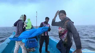 கடலில் அடைமழையில் படகில் நாங்கள் இப்படி தான் இருப்போம்/weather change in sea