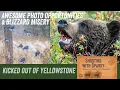 Kicked out of Yellowstone Blizzard in October Wildlife Photography Teddy Roosevelt NP Badlands NP