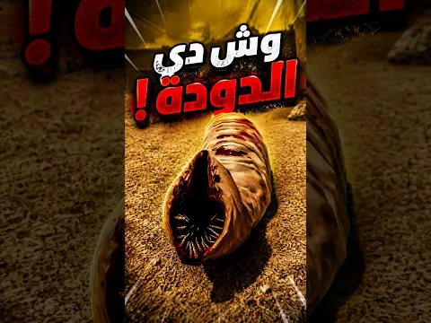 الدودة ذي مجنوووونه !! مستحيل هاللعبه سرفايفل صعب
