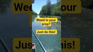 Weed in your prop? Just do this! #sailing #sailingtips #boating