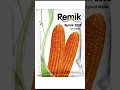 Remik agri seeds