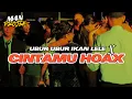 Download Lagu PARTY SENTAK🌴 UBUR UBUR IKAN LELE X CINTAMU HOAXX (M4N PROJEK) BASS ALUSS 2025