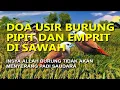 Lagu DOA USIR BURUNG PIPIT DAN EMPRIT DI SAWAH