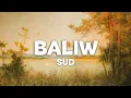 Baliw – SUD (Acoustic Cover) | Soulty Lounge