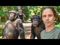Kody Antle Has Dinner with Chimps | Myrtle Beach Safari