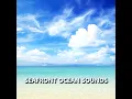 Spirited Meditative Ocean Sounds