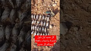 جديد جديد اول بأول صيد سمن انتظروا منا الفيديوهات كاملة 