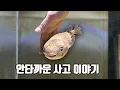 Download Lagu 유튜브를 그만 두려했던 안타까운 사고 이야기
