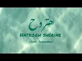 Download Lagu Hatrooh - Sherine | شيرين - هترو ح  - Lirik + Terjemahan [ Slowed + Reverb ]
