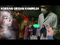 Download Lagu PENAMPAKAN KORBAN PENJUALAN ORGAN KAMBOJA PULANG SUDAH TANPA GINJAL