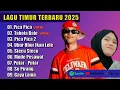Download Lagu PICA PICA - TABOLA BALE - JUAN REZA DAN DIVA AUREL LAGU TIMUR TERBARU 2025  
