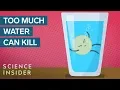 Download Lagu What Happens When You Drink Too Much Water