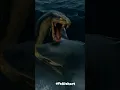 Download Lagu deep blue sea fight ajgar and black shark|oYe Alshort#massive animal#massiveocean#world largest