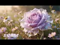 Download Lagu De mooiste melodie ter wereld🌺De mooiste melodie van de lente🌿Muziek van Sergey Grischuk