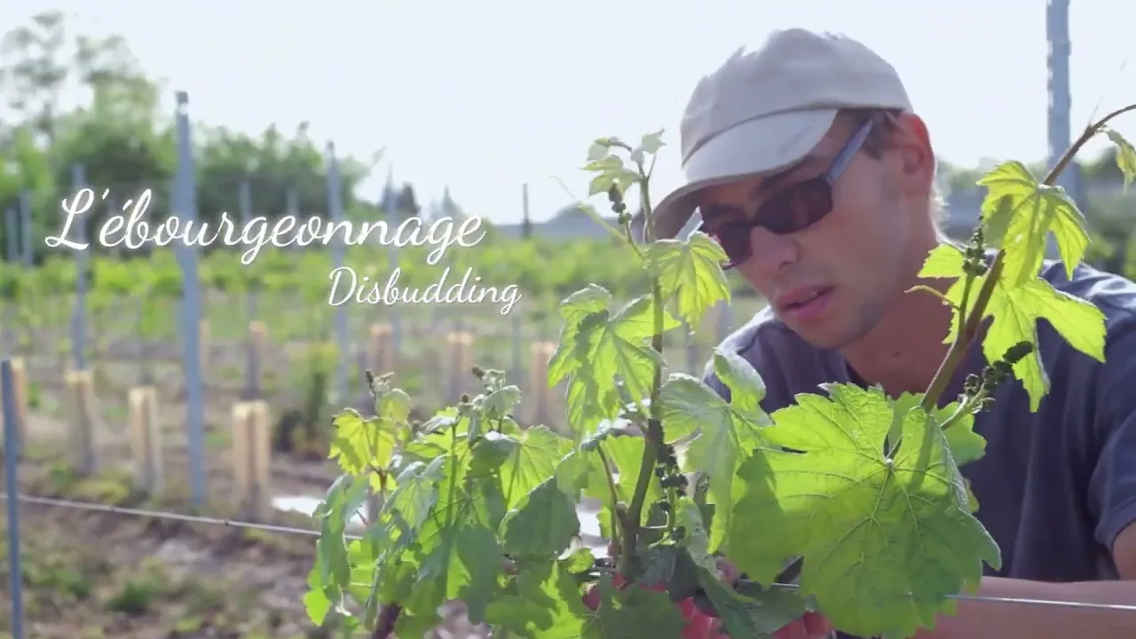 Domaine Gardien — le film
