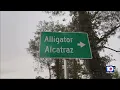 Download Lagu Migrants expected to arrive at 'Alligator Alcatraz' soon