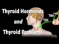 Thyroid Gland Hormones and Thyroid Problems Animation
