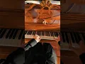 Red Alert 3 - Soviet Theme (Piano Cover) - Joshua Kyan Aalampour 11/30/2024
