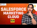 SSJS in SFMC SFMC Tutorial SFMC Online Training Salesforce Marketing Cloud CloudFoundation