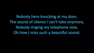 Armin Van Buuren This Is What It Feels Like Feat Trevor Guthrie ON SCREEN LYRICS 