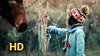 صوت تساقط المطر بجودة عالية مناظر الطبيعة خلابة فيديو بدون حقوق النشر 