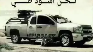 شيله صقور الجزيره دندنها