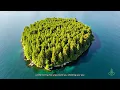 Beautiful Calming Music for Stress, Worry and Overthinking 🌿 Relaxing Music for Emotional Balance