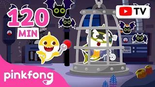 [Best of the Best] Play Hide & Seek with Baby Shark | Brain Teasers for Kids | Pinkfong Official