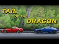 Download Lagu Tail of the Dragon with a MX5, BRZ, GT4, plus Emira and more! || Road to 1000 Part 5