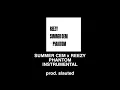 SUMMER CEM x REEZY PHANTOM INSTRUMENTAL prod. slauted