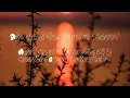 Blake Shelton-Sure Be Cool If You Did (Lyrics)