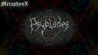 Download MetaphysX - Psyblades | lilpeep x lil tracy - witchblades Remix | Pogressive Psytrance | 160BPM MP3