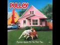 Pulley - Together Again for the First Time (2001)