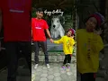 Download Lagu hbd papa