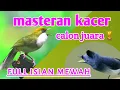 Download Lagu Masteran kacer juara nasional full isian mewah