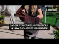 Saddle Fit 101 Saddle Structures Differences