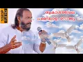Download Lagu ആകാശത്തിലെ പക്ഷികളെ നോക്കൂ|Aakasathile Pakshikale Nokkoo|CHRISTIAN DEVOTIONAL SONG |KOTTAYAM SURESH|
