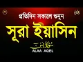 Download Lagu সূরা ইয়াসিন প্রতিদিন সকালে শুনুন l সকালের শ্রেষ্ঠ আমল l Surah Yaseen l سوره يس Record by Alaa Aqel