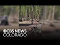 Viral campfire highlights wildfire fears in Colorado during busy holiday weekend
