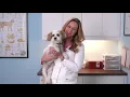 What to Do If Your Dog Has Trouble Breathing
