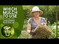 Mulch - which one and when to use it DIY Garden Projects Gardening Australia