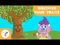 Build Your Tree - Learn about your character traits Self-esteem for kids