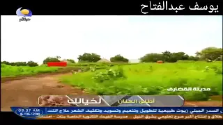جرعة عسل  جرعة عسل