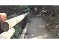 CityStream Washington Trails Association