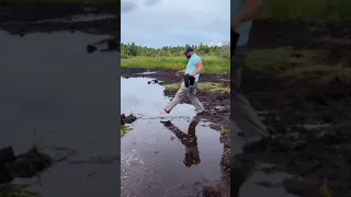                                         دندنها