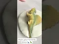 Science Activity - Mold Your Dino