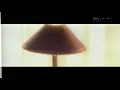 전람회- 이방인 [MV] (1996)