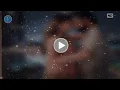 Download Lagu Portrait Video Nanny Canon EosR5 + RF85 f1.2L DS #A42333F #01805