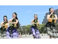 Download Lagu 'Alekoki　Hula Halau O Makanani　LOCO MOCO SUNSET FEEL THE MANA 2016